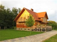 Natura panzi�